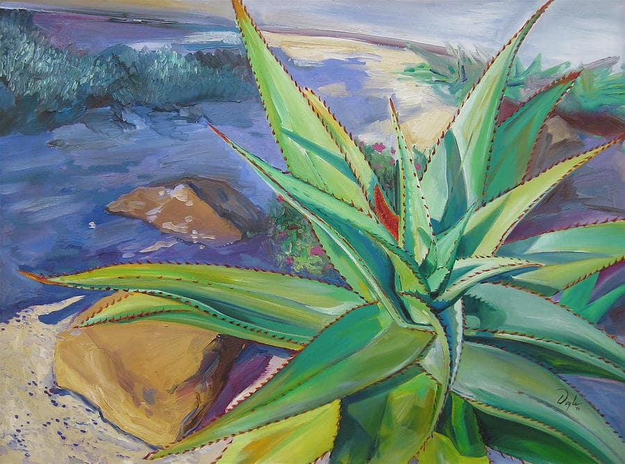 آلوئه ورا برای هموروئید