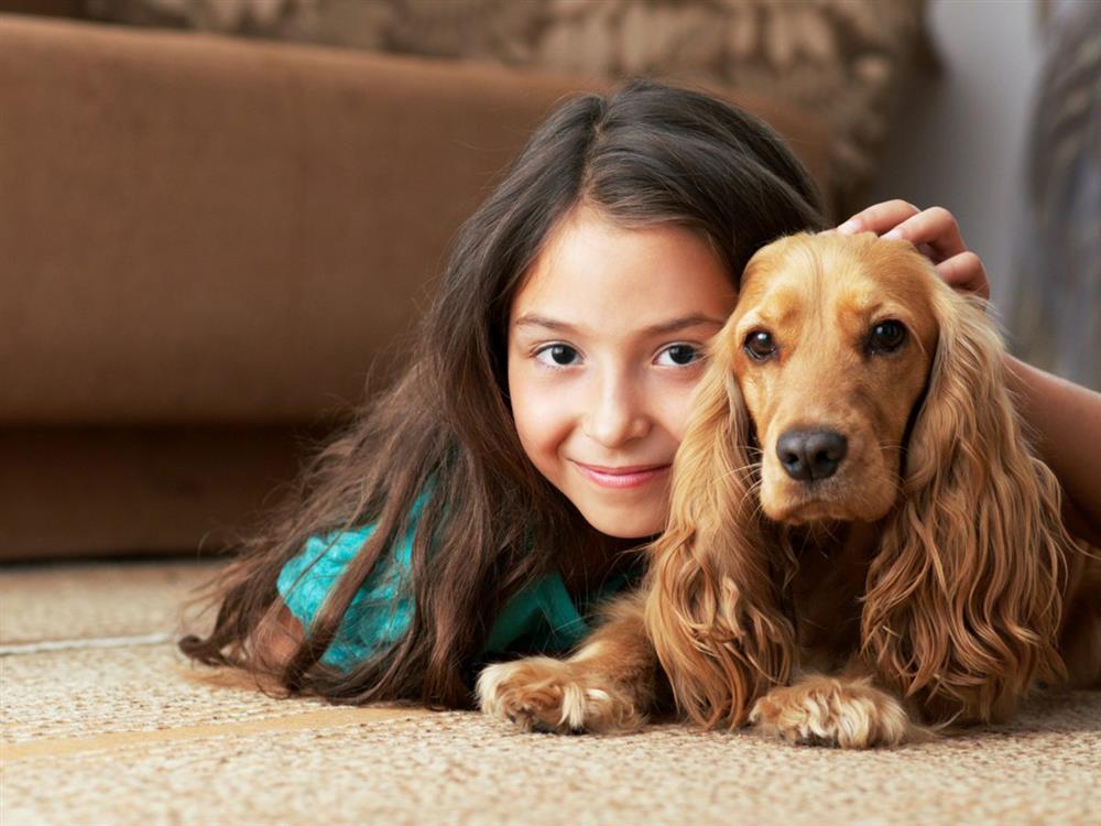 مراقبت از حیوانات